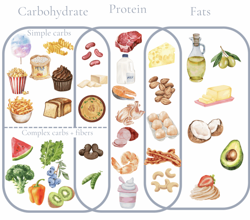 graph showing all macronutrients separated into categories
